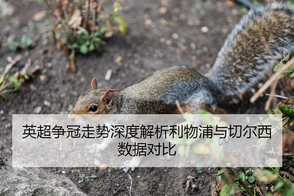 英超争冠走势深度解析利物浦与切尔西数据对比